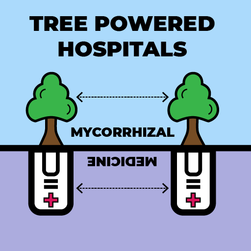 Tree Powered Hospitals: Fusing Mycorrhizal Networks to benefit Healthcare Struggle